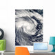 Tropical Cyclone Edzani South Wall Decal