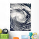 Tropical Cyclone Edzani South Wall Decal
