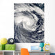 Tropical Cyclone Edzani South Wall Decal