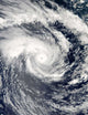 Tropical Cyclone Edzani South Wall Decal