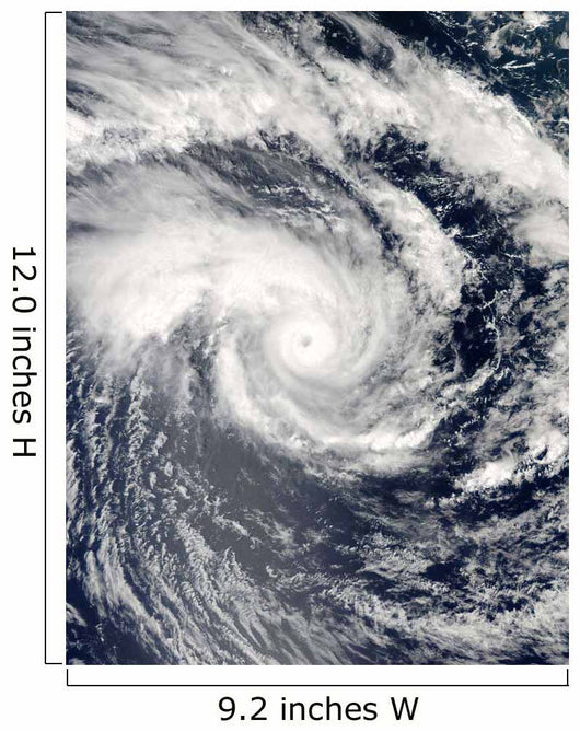 Tropical Cyclone Edzani South Wall Decal