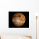 Venus Wall Decal Design 1
