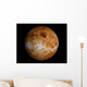 Venus Wall Decal Design 1