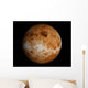 Venus Wall Decal Design 1