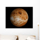 Venus Wall Decal Design 1