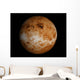 Venus Wall Decal Design 1