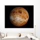 Venus Wall Decal Design 1