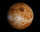 Venus Wall Decal Design 1