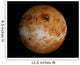 Venus Wall Decal Design 1