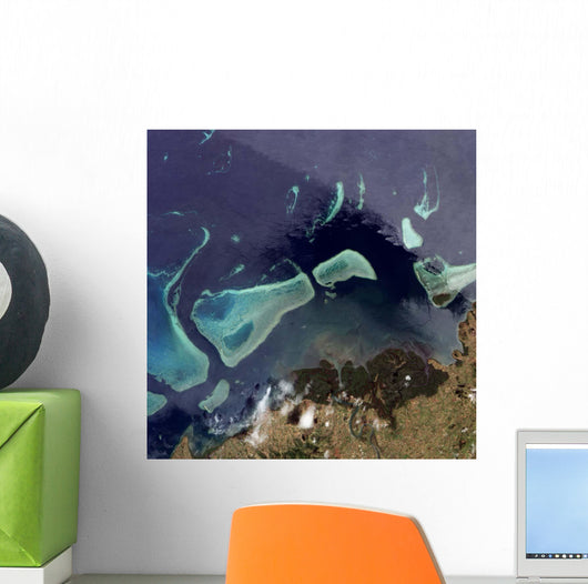 Deep Green Forest Land Wall Decal
