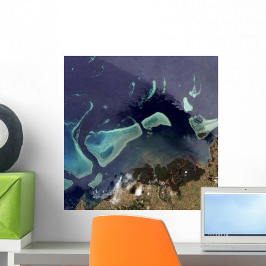 Deep Green Forest Land Wall Decal