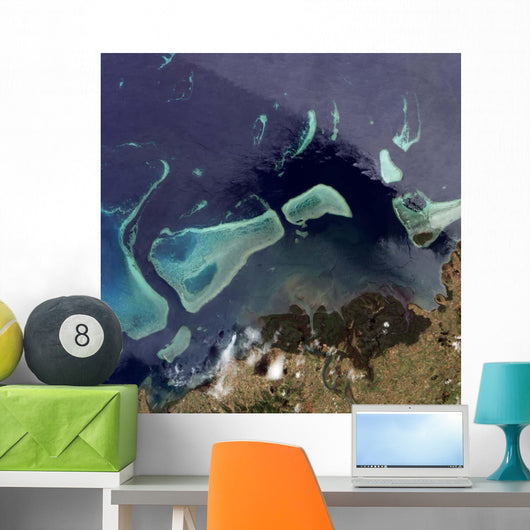 Deep Green Forest Land Wall Decal