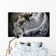 January 2 2009 Cloud Wall Decal Design 4