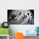 January 2 2009 Cloud Wall Decal Design 3