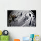 January 2 2009 Cloud Wall Decal Design 3