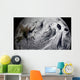 January 2 2009 Cloud Wall Decal Design 3