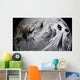 January 2 2009 Cloud Wall Decal Design 3