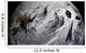 January 2 2009 Cloud Wall Decal Design 3