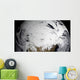 January 2 2009 Cloud Wall Decal Design 2