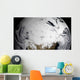 January 2 2009 Cloud Wall Decal Design 2