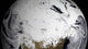 January 2 2009 Cloud Wall Decal Design 2