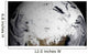 January 2 2009 Cloud Wall Decal Design 2