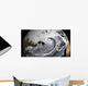 January 2 2009 Cloud Wall Decal Design 1