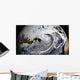 January 2 2009 Cloud Wall Decal Design 1