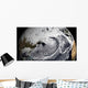 January 2 2009 Cloud Wall Decal Design 1