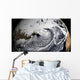 January 2 2009 Cloud Wall Decal Design 1