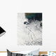 Von Karmann Cloud Vortices Wall Decal