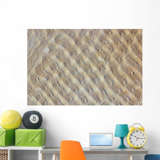 Sand Dunes Fachi-bilma Erg Wall Decal