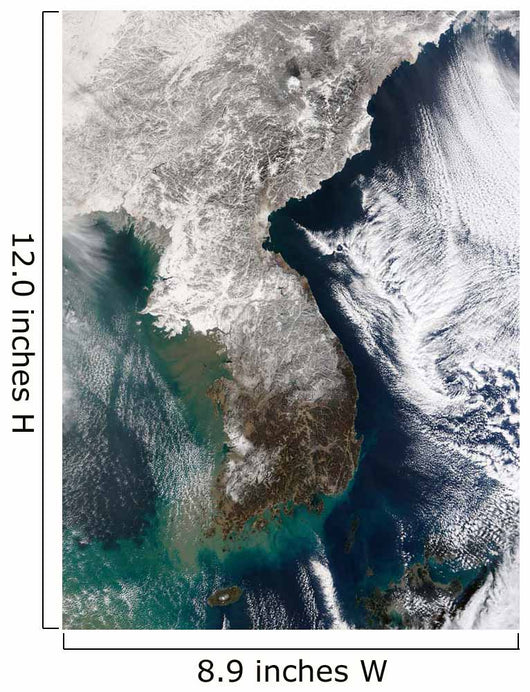 Snow Korea Wall Decal