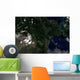 Satellite Mayon Volcano Emitting Wall Decal