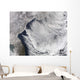 Cloud Streets Forming over Wall Decal