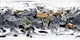 Cylindrical Equidistant Projection Visualization Wall Decal