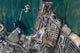 Aerial Port-au-Prince Harbor Haiti Wall Decal Design 1