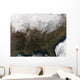Snow Cover over United Wall Decal
