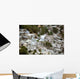 Port-au-Prince Haiti after Magnitude Wall Decal