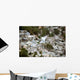 Port-au-Prince Haiti after Magnitude Wall Decal