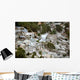 Port-au-Prince Haiti after Magnitude Wall Decal