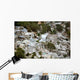 Port-au-Prince Haiti after Magnitude Wall Decal