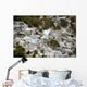 Port-au-Prince Haiti after Magnitude Wall Decal