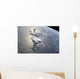 Serene Portion Greater Antilles Wall Decal