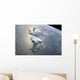 Serene Portion Greater Antilles Wall Decal
