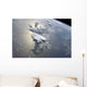 Serene Portion Greater Antilles Wall Decal