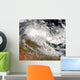 Tropical Cyclone Olga over Wall Decal