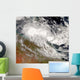 Tropical Cyclone Olga over Wall Decal