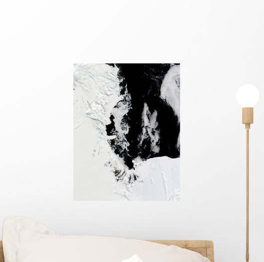 January 18 2010 Ross Wall Decal