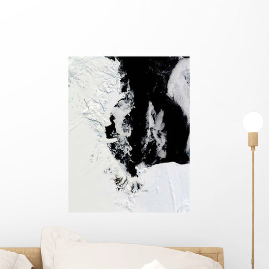 January 18 2010 Ross Wall Decal